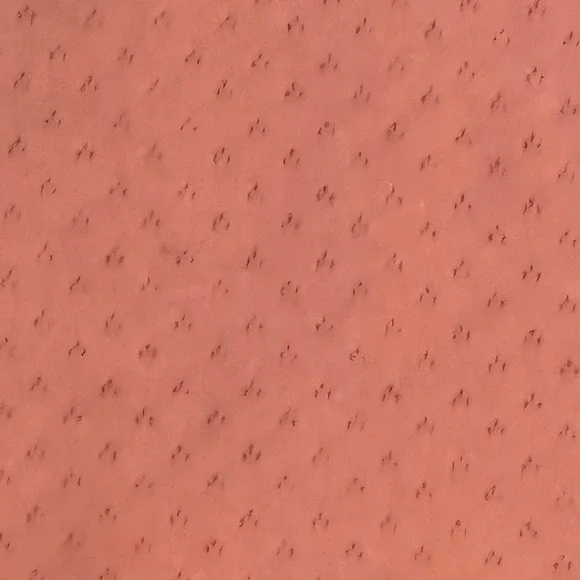 Moda International Camisole Women Med Rose Pointelle Lace Trim Cotton Romantic - Picture 6 of 14